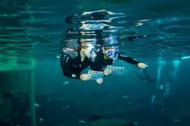 Snorkelen Todi The Ultimate Experience
