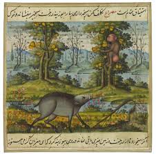 Check spelling or type a new query. 160 Akbar The Great Mughal Ideas In 2021 Mughal Emperor Greatful