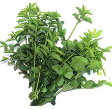 Would you like to know how to translate manis to english? Mani Cai Sayur Manis My Vegetable Garden Facebook