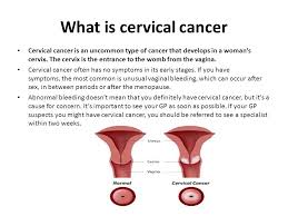 If you have had the hpv vaccine, you are protected against at least 70 per cent of cervical cancers. Cervical Cancer By Kajal Haghmoradi Ppt Video Online Download
