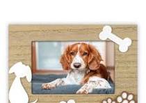 Functioneel hondenfoto-lijsten groothandel met ...