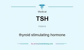 Tsh Thyroid Stimulating Hormone By Acronymsandslang Com