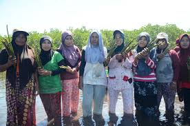 Check spelling or type a new query. Hal Hal Yang Dilupakan Dalam Rehabilitasi Mangrove Mongabay Co Id Mongabay Co Id