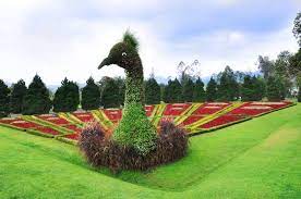 Tempat cantik satu ini bisa menjadi tujuan wisata yang wajib kamu kunjungi saat berada di kota ini. Taman Bunga Nusantara Puncak Indonesia Sirb Travel Tours
