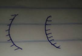 Last updated at may 14, 2020 by teachoo. Distinguish Between Concave Mirror And Convex Mirror Brainly Com