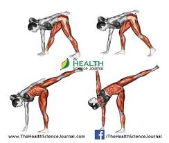 Pin On Health
