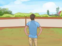 Maybe you would like to learn more about one of these? How To Grow A Clover Lawn 14 Steps With Pictures Wikihow