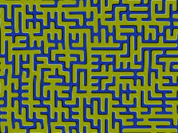 Can You Survive These Mind Tricks And Riddles