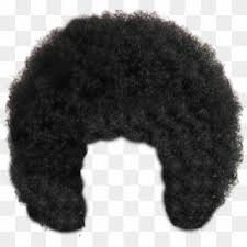 Wavy hair hair afro hair. Free Afro Hair Png Png Transparent Images Pikpng