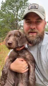 Alright here's more of Olive! This is my first time training a pointer and  i can't tell you how rewarding it has been! Also this is a pointing breed  and i would
