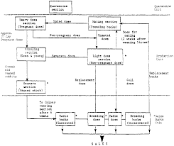 Life Cycle Chart