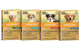 These medications are often used to reduce the temperature and relieve pain. Advocate For Dogs Flea Heartworm Worm Treatment