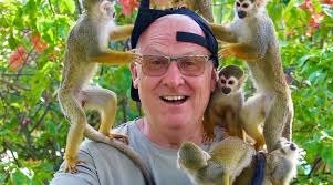 C. Joaquin Balaguer 33 los corales (Bavaro, Dominican Republic): Hours,  Address,