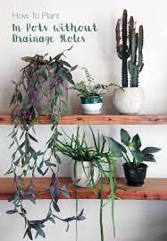 How To Plant In A Pot Without Drainage Holes Indoor Plants Diy Plants Indoor Plant Pots
