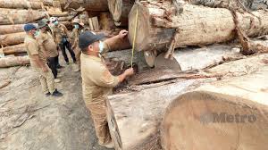Klik nama jawatan & mohon segera. Ops Kilang Serbu 22 Kilang Papan