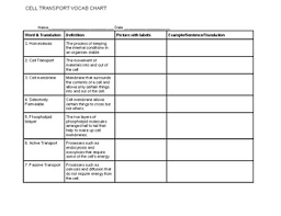 Cell Transport Vocabulary Chart