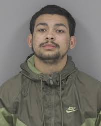 Johnston County, NC Arrests