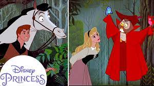 4.8 out of 5 stars 2,321. How Did Aurora Meet Prince Phillip Disney Princess Youtube