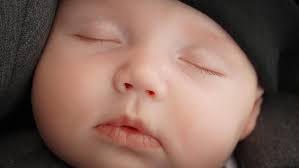 Photography by Brenda Lee