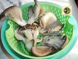 Come cucinare i funghi pleurotus. Contorno Di Funghi Pleurotus In Padella Trifolati