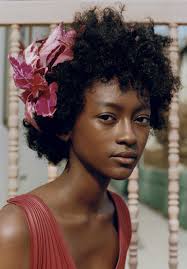 Tyler Mitchell Pencetus Pameran Budaya Pop New York