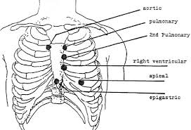 Physical Assessment