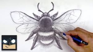 Bumblebees are a favorite of the bee species. How To Draw A Bumble Bee Sketch Sunday Step By Step Youtube