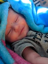 Jasper Alexander Mills Obituary