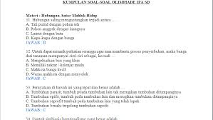 Soal kunci jawaban olimpiade ipa sd tingkat nasionaldiambil dari kumpulan soal osn ipa sd 2017. Contoh Soal Soal Olimpiade Ipa Sd Contoh Soal Terbaru