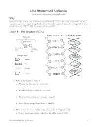 Dna structure and function worksheets teaching resources tpt. Dna Structure And Replication Worksheet Fill Online Printable Fillable Blank Pdffiller