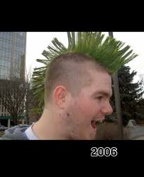 David Guedes (@bricklettuce) • Instagram photos and videos