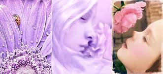 Connie Summers Photography, Sarasota, FL 34231, US