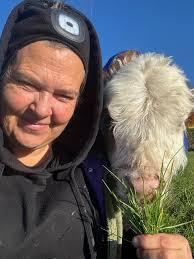 Hi all, I'm looking for a farrier for my horse's feet. It's urgent