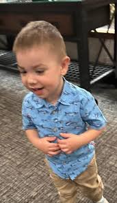 Dane Paulson Update: Search For Oregon 2-Year-Old Who Vanished While  Playing in Yard Comes to Tragic End