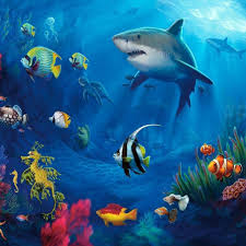 Underwater Life Underwater Wallpaper Animal Wallpaper Fish Wallpaper