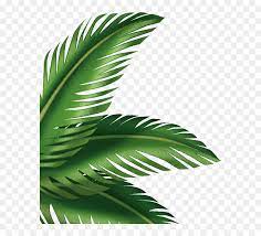 Tropical leaf outline transparent background. Palm Leaves Transparent Background Hd Png Download Vhv