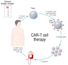 Image result for Immunotherapy