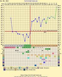Post Your Bfp Charts Page 3 Page 3