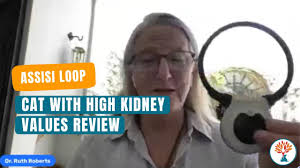 Cat with High Kidney Values