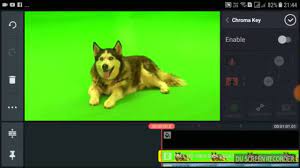 Make sure you comment if you have any questions, and if you are still unsure, a. How To Make Green Screen Videos In Kinemaster In Tamil Youtube