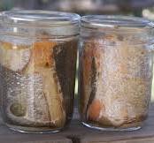 Canning Fish: Salmon, Blue, Mackerel, Trout...