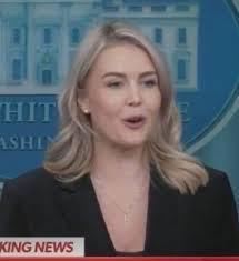 I know this is wrong, but respectfully…every single time she opens her  mouth, I want someone to say “Quiet Piggy. Quiet.” Imagine someone in the  press room interrupting her mid-sentence and saying “