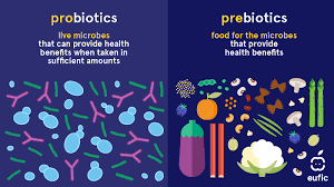 What are prebiotics and probiotics and are they important for health? |  Eufic