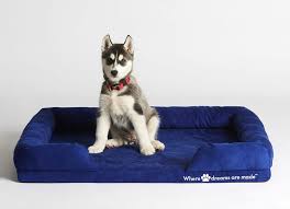 Featuring flannel material provides a comfortable and australia's largest online shopping club. Australia S Top 5 Dog Beds In 2021 Bedbuyer Bedbuyer Com Au