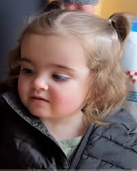 What's the difference between a polar vortex and winter?