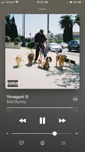 Bad bunny's style is incomparable. Tsxpij5wtqj23m