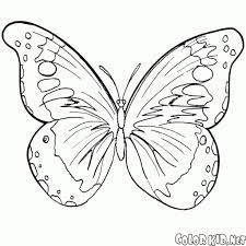Immagini per uso scolastico ed educativo | farfalle, farfalla, volare, insetto, insetti sul nostro sito troverete un vasto assortimento di disegni da colorare, immagini e fotografie. Disegni Da Colorare Farfalla E Lestate Per Quanto Riguarda Farfalle Da Colorare E Stampare Disegni Da Colorare Disegni Farfalle Di Carta