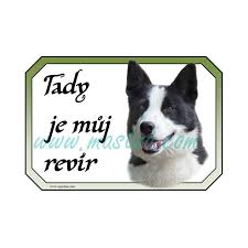 Image result for karelský medvědí pes