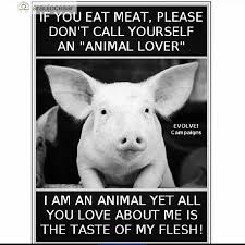 If You Eat Meat Please Don T Call Yourself An Animal Lover Go Vegan For True Love Plantpowerz Vegan Vegan Govegan E Vegan Animals Animal Rights Cute Pigs