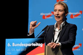 She has been a member of the bundestag (mdb). Alice Weidel Steuern Fur Biel